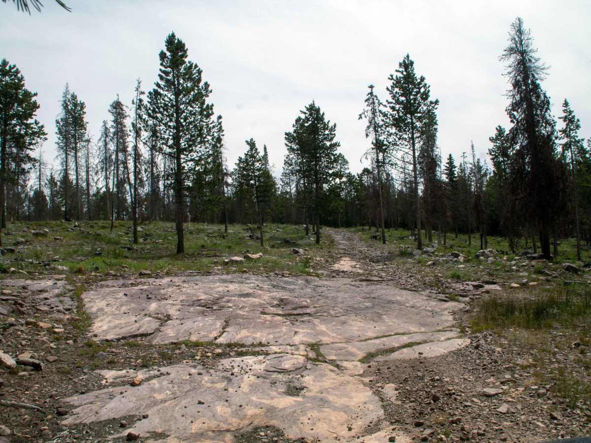 Cobble Creek S14 - FR80949 photo 2