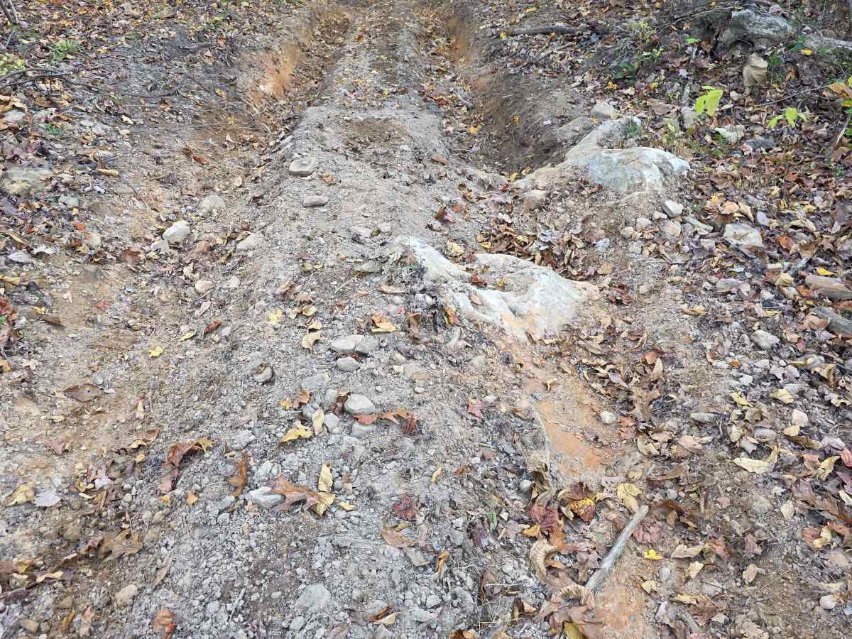 Maple Hill  photo 4