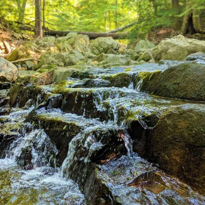 Near Buzzards Rock Trail