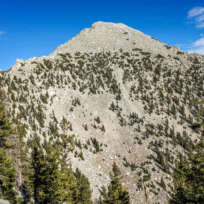 Near Ibapah Peak Near Ibapah Peak