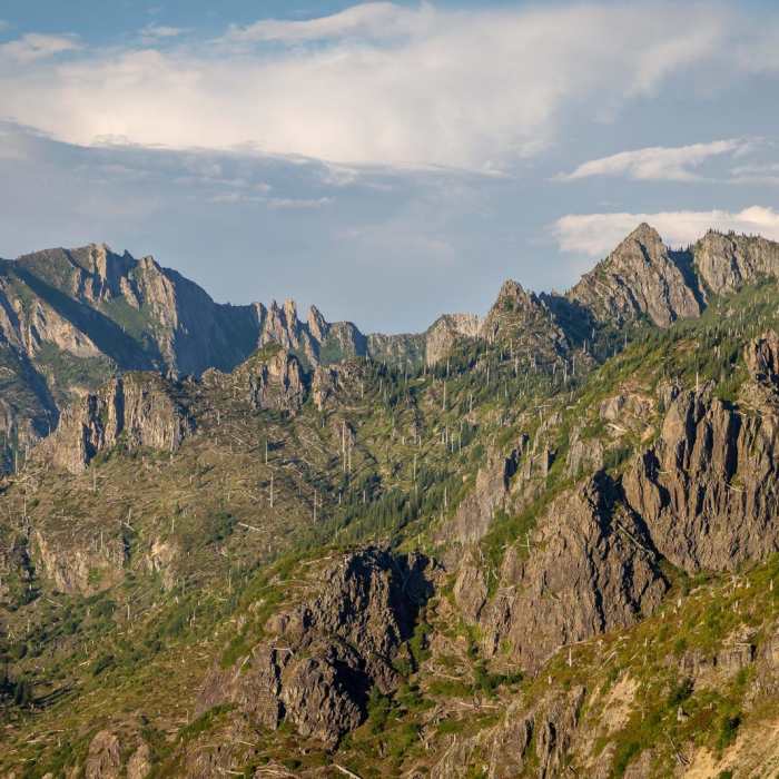Near Mount Margaret via South Coldwater Trail
