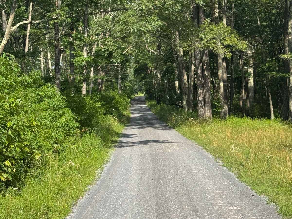 Silver Springs Road photo 6