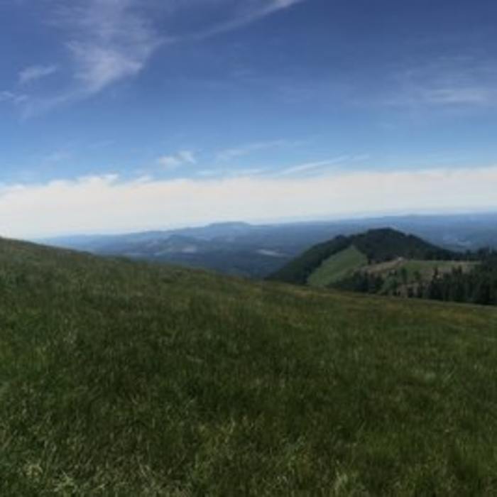 Near Meadowedge Trail #1325