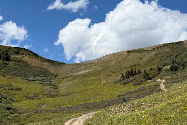 Cement Creek Road - FS 740