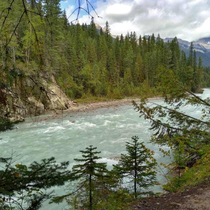 Near Thompson Falls Trail