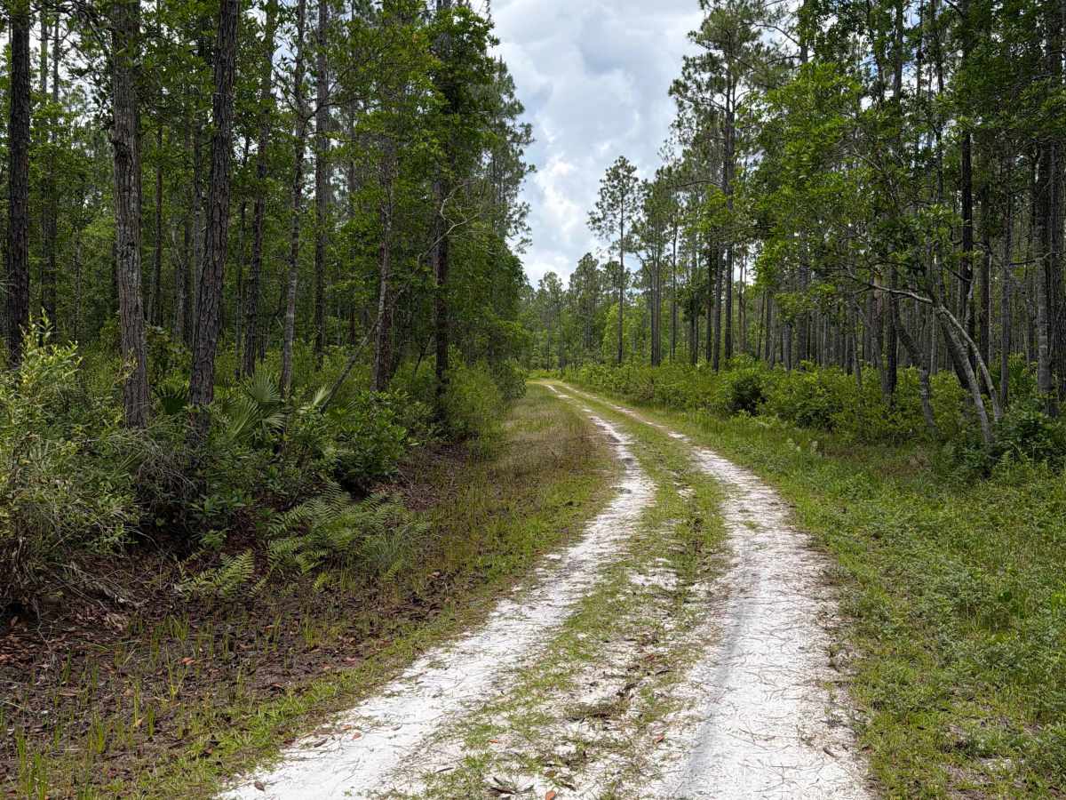 Crooked Road photo 3
