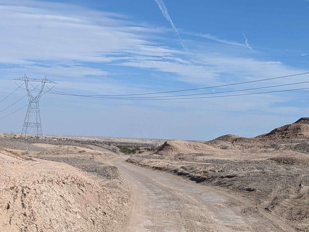 BLM 137 photo 6