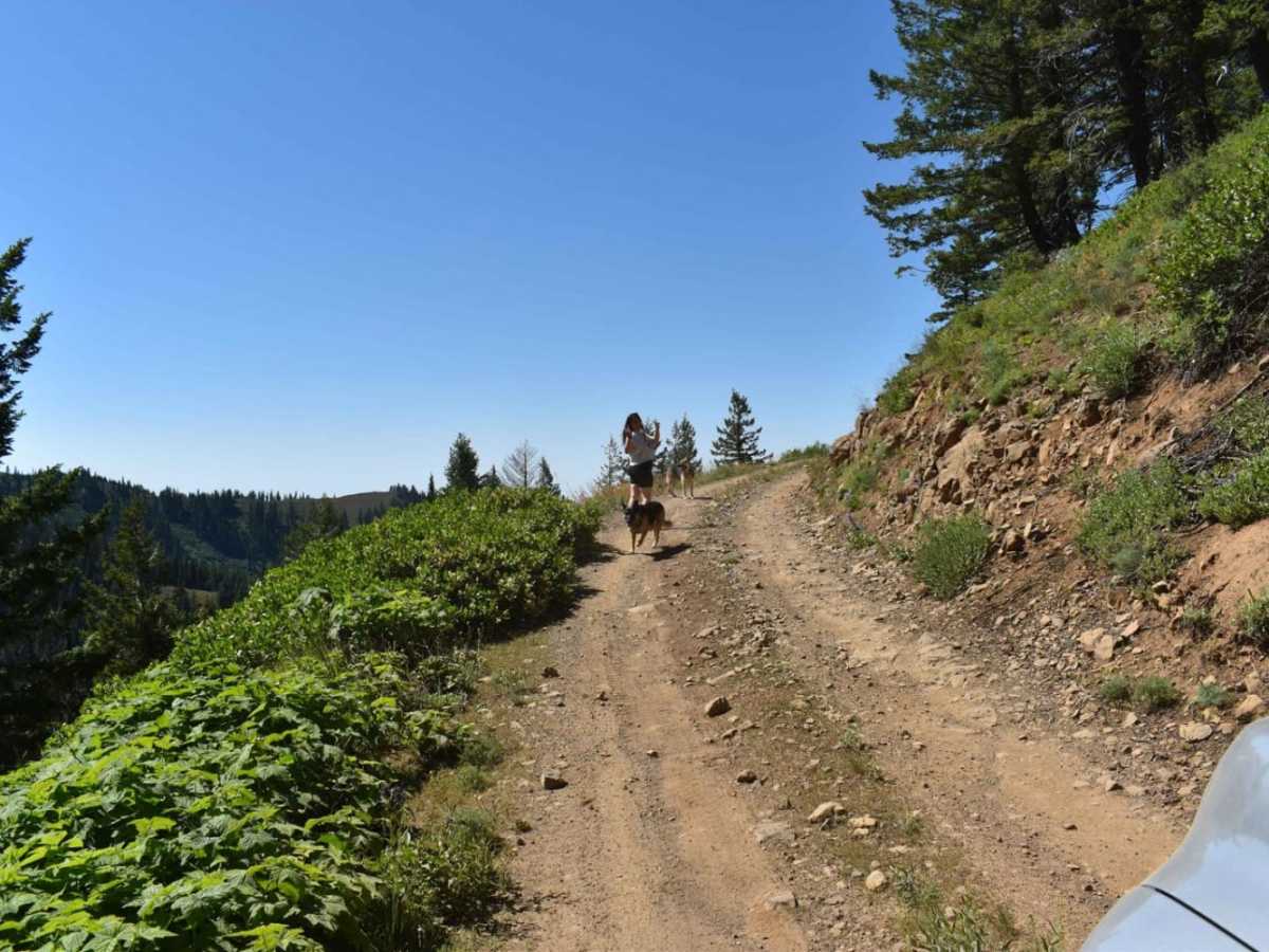 Jubilee to Tiger Creek photo 5
