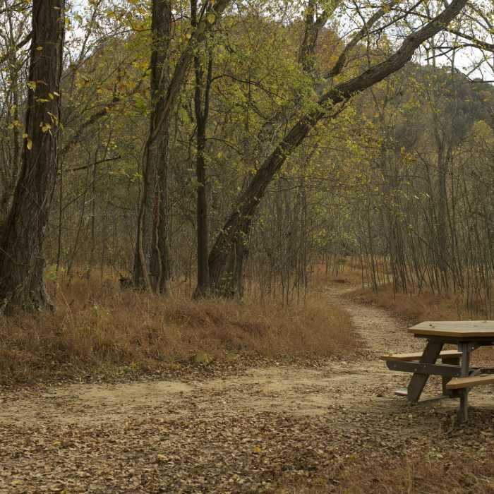 When you get to the island, there is a picnic table where you can enjoy a snack while others play along the river side. Near Island Loop Trail