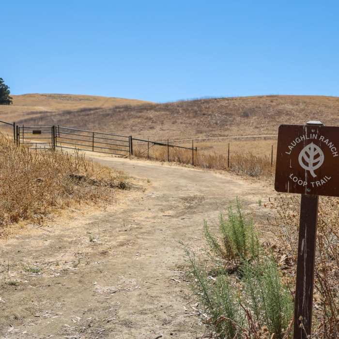 Near Laughlin Ranch Loop