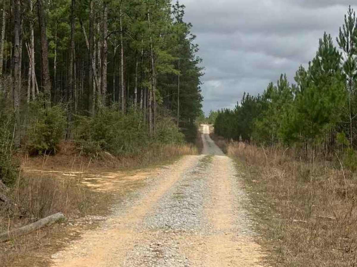 Gravel Landing photo 3