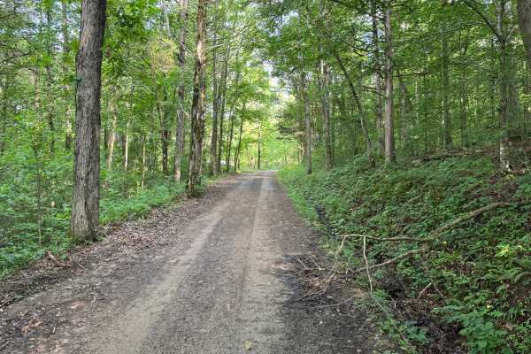 County Road 5681