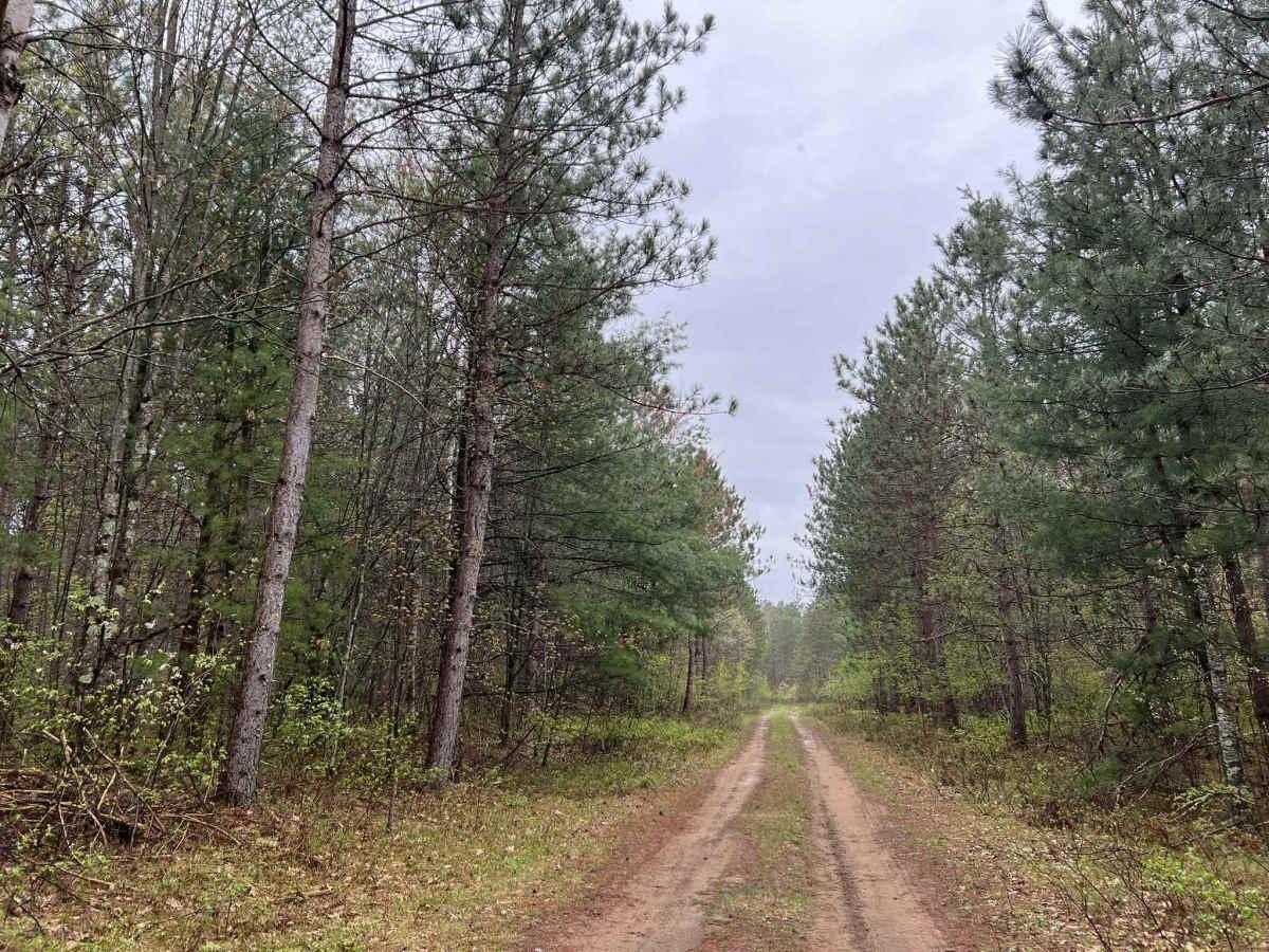 Sawbuck Road - FS 2302 photo 6