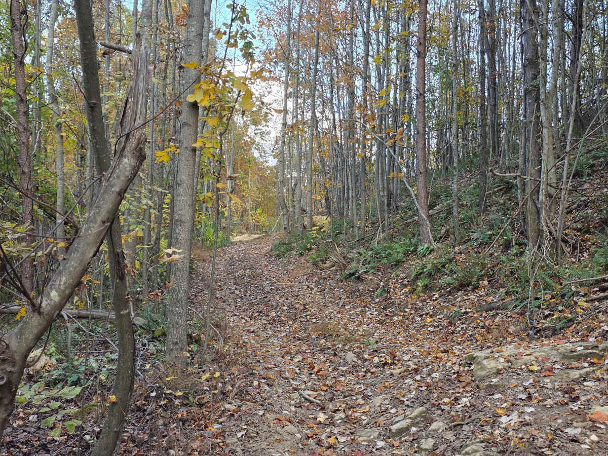 Snake Ditch photo 6