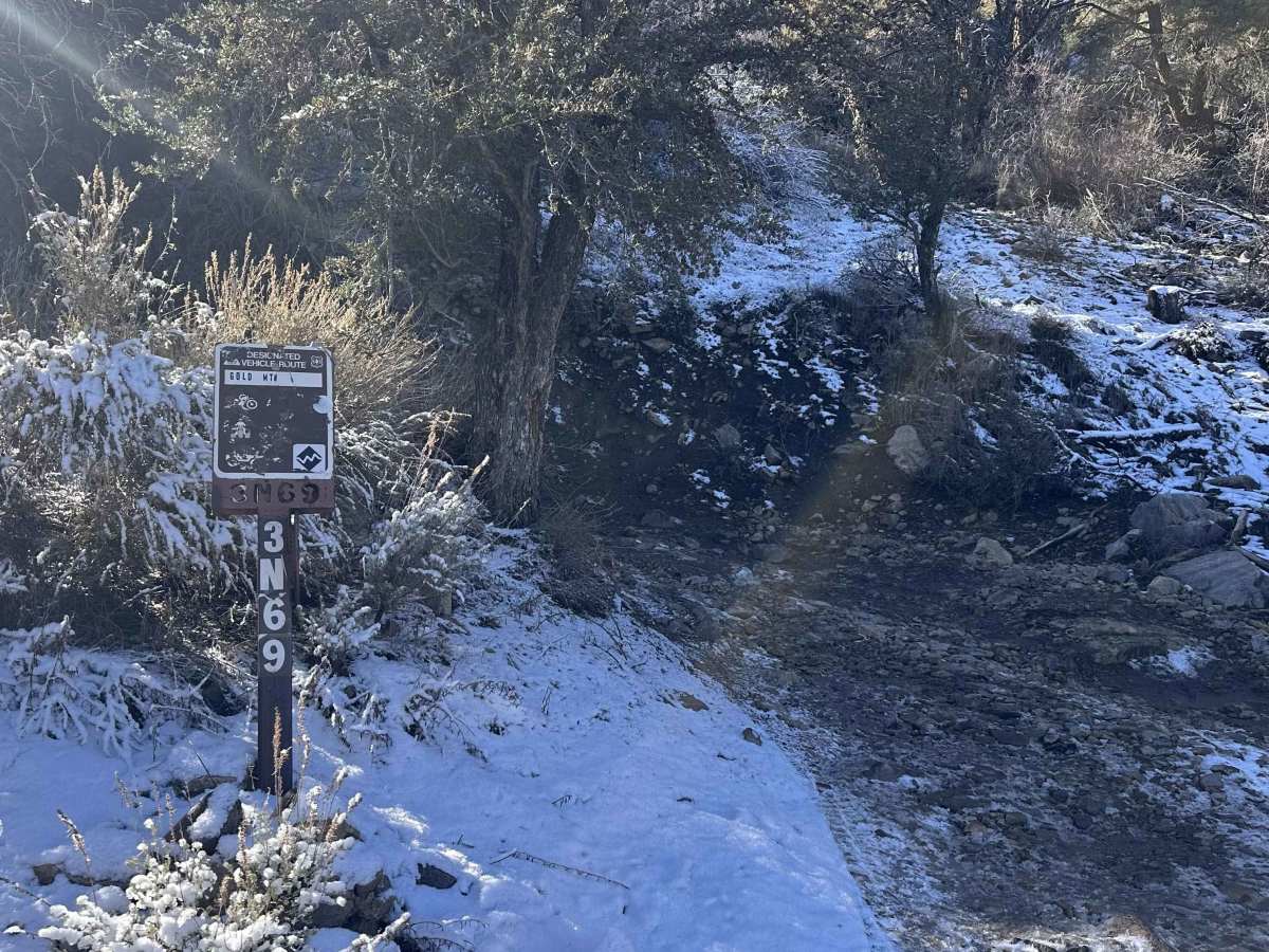 Gold Mountain - FS 3N69 photo 6