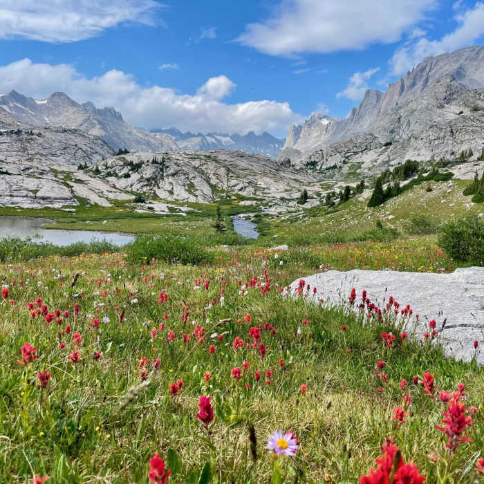 Near Continental Divide Trail: Knapsack Col Alternate