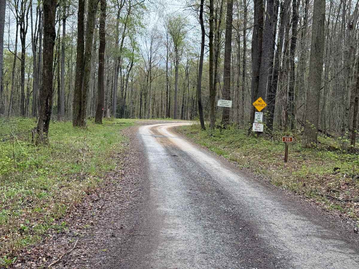 Fools Creek - FS 255 trail photo