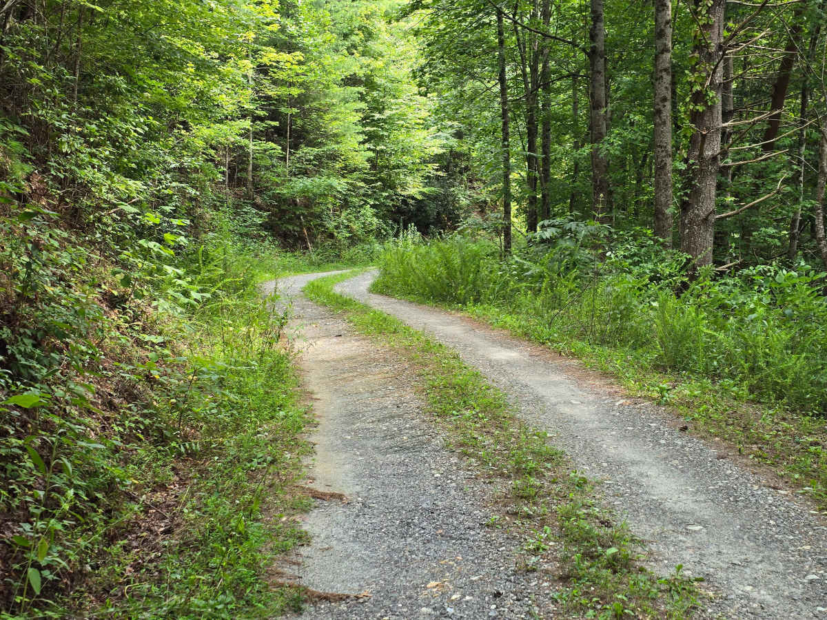 Derreberry Gap - FS 6148 photo 3
