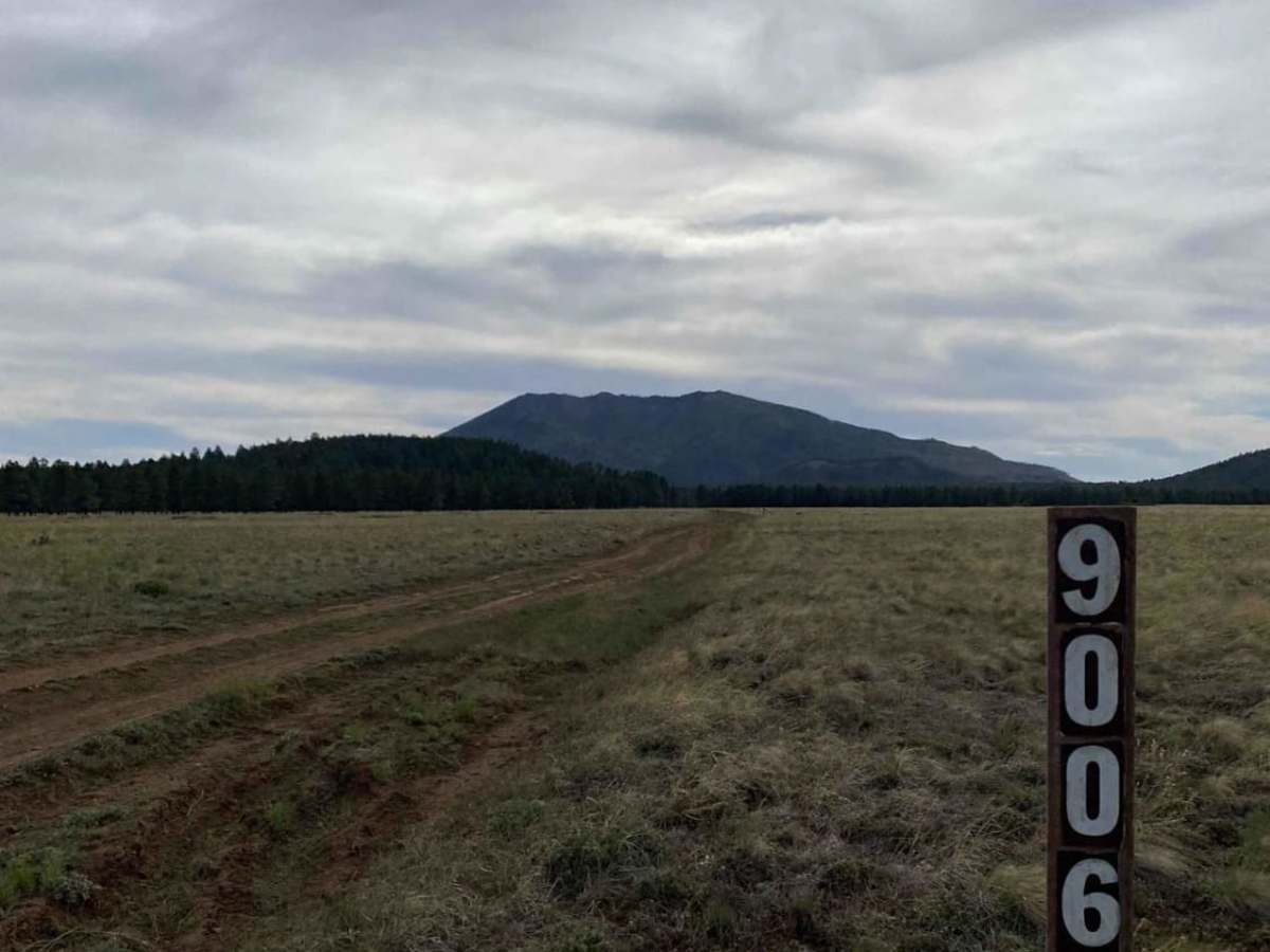 Wildlife Way trail photo