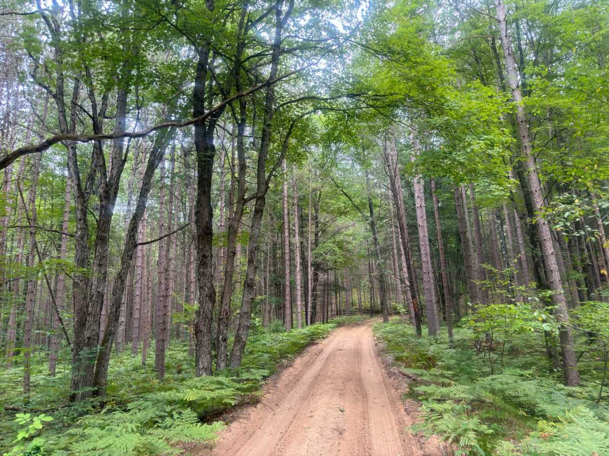 North Slagle Creek Road photo 3