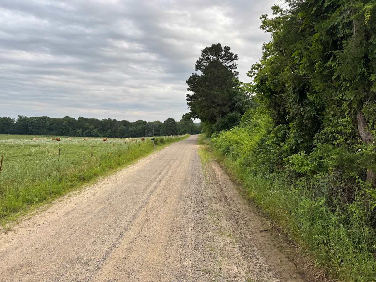 County Road 4501 photo 4
