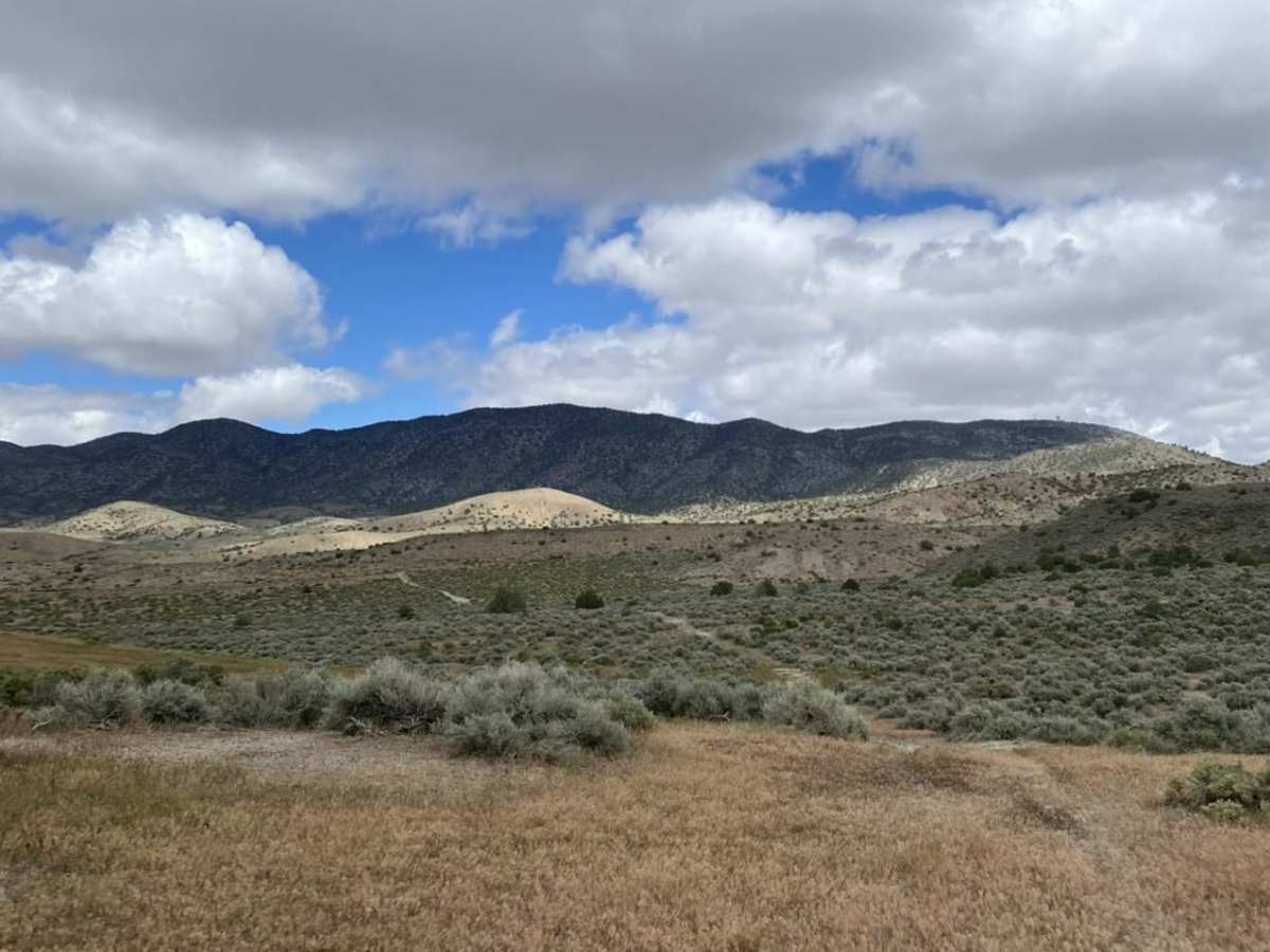 Old Man Canyon / Seven Devils Hot Springs photo 2
