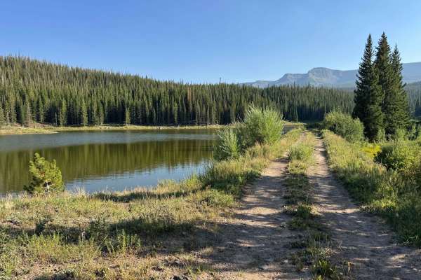 Ram’s Horn Lake Road - FS 9111