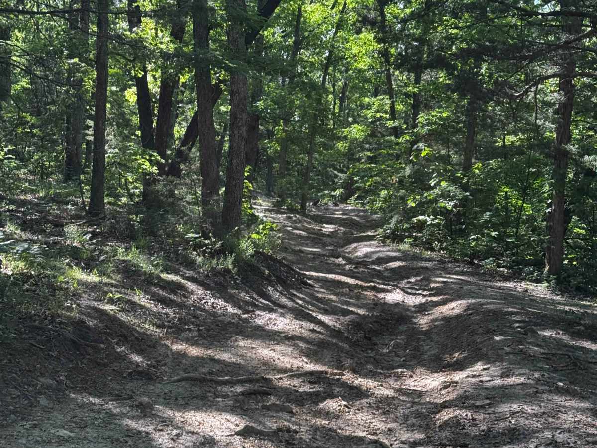 Inner Trail 11 photo 4