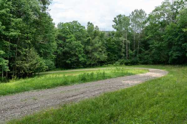 Left Fork Truck Trail
