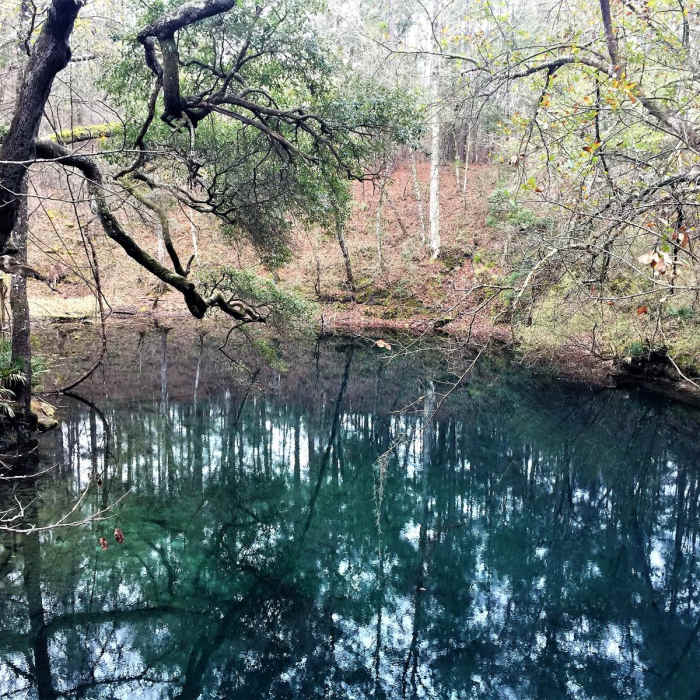 Near Leon Sinks Loop