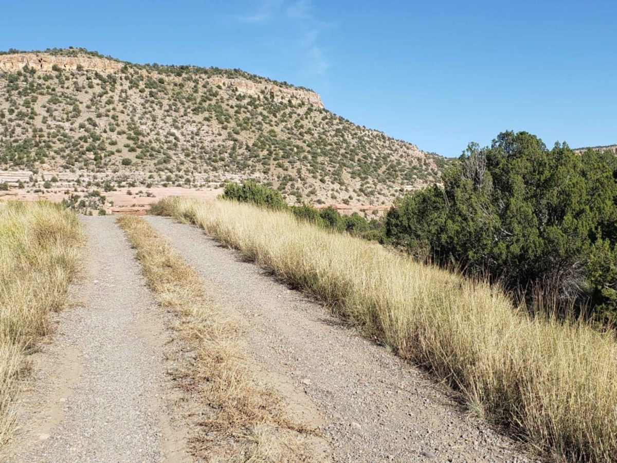 Mills Canyon Trail trail photo