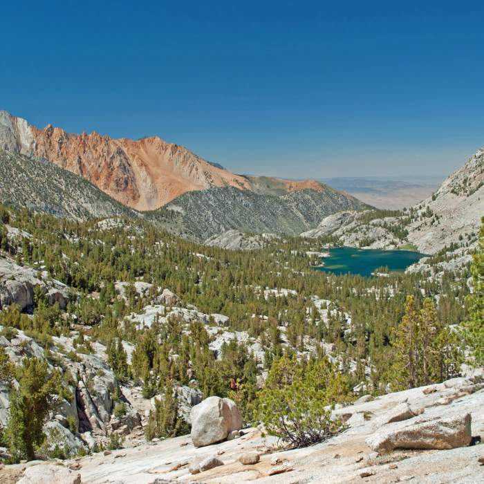 Near Baboon Lakes Trail (31E01A)