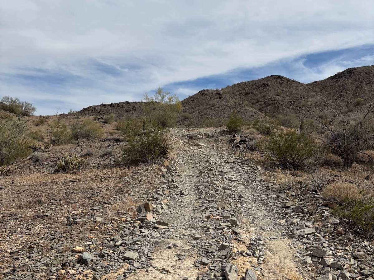 BLM 0127 photo 3