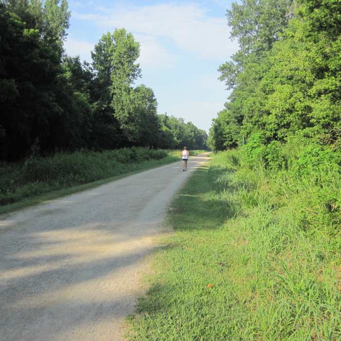 Near McAlpine Creek Greenway