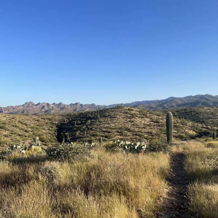 Near Reavis Canyon / Happy Camp Loop