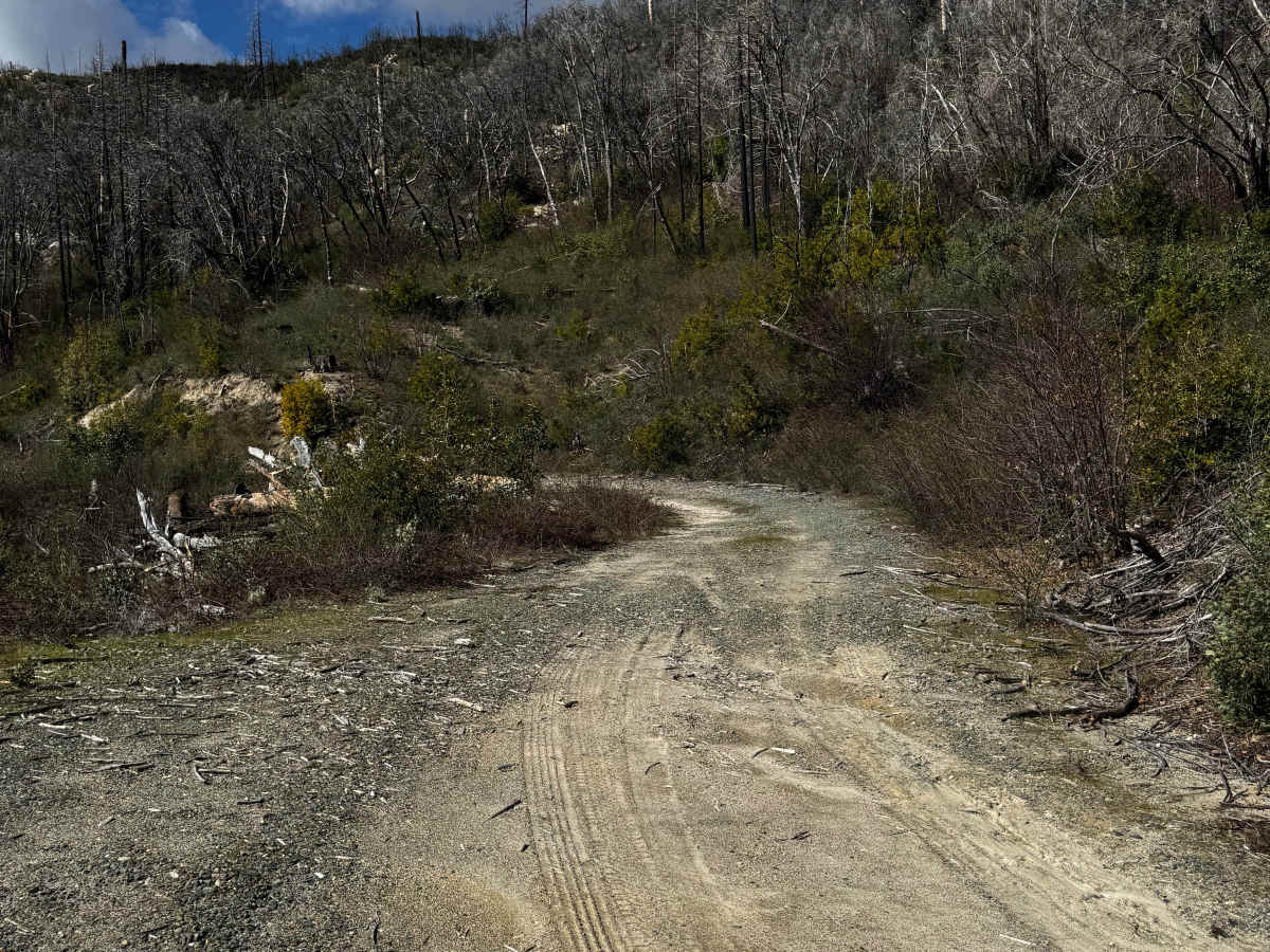 Martin Creek photo 4
