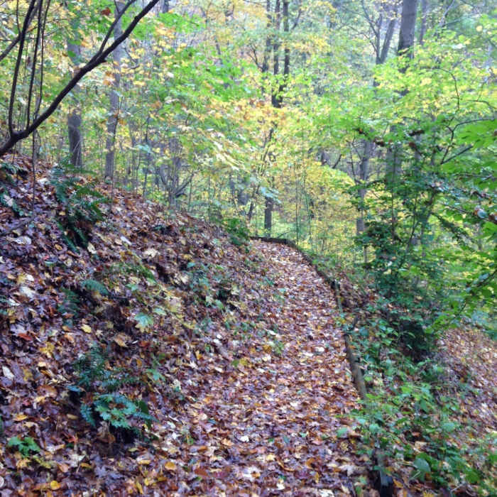 Near Lockhart Trail