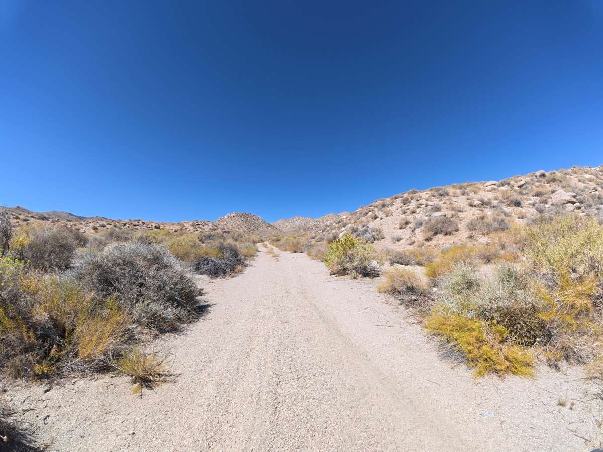 BLM 544 trail photo