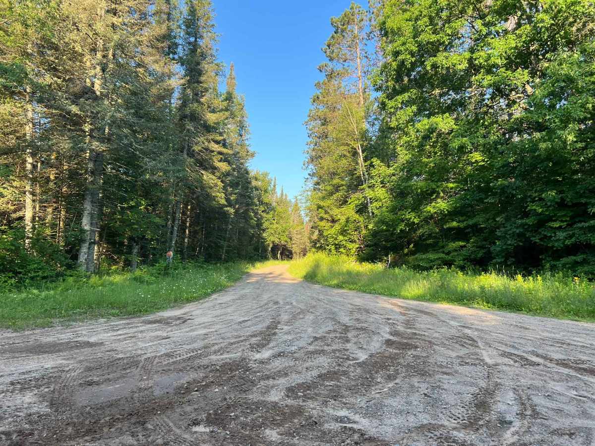 Spring Pond Road trail photo