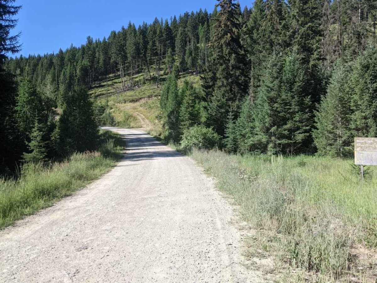 Kikomun-Yahk Pass photo 2