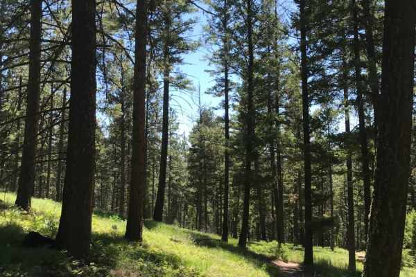 Blue Mountain Single Track