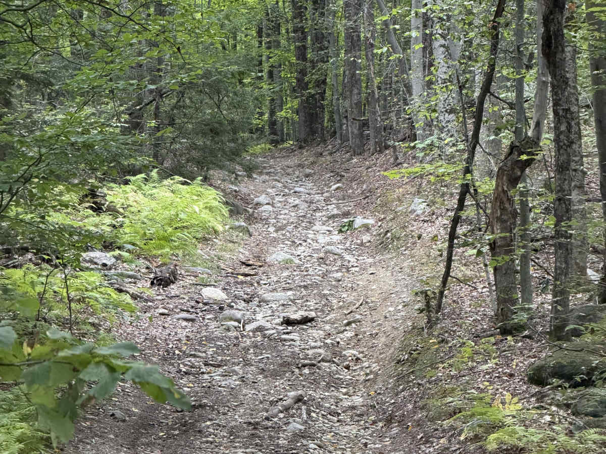 Edan Page Road photo 5