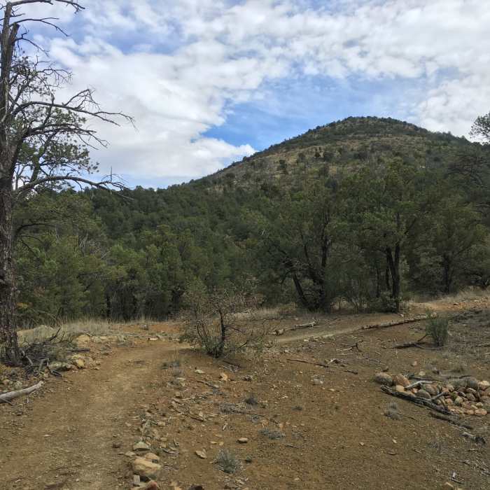 Near Gomez Peak Triple Loop