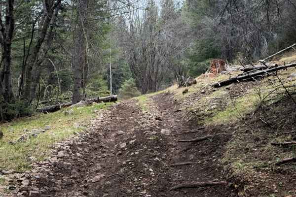 Hubbell Canyon- FS 9277