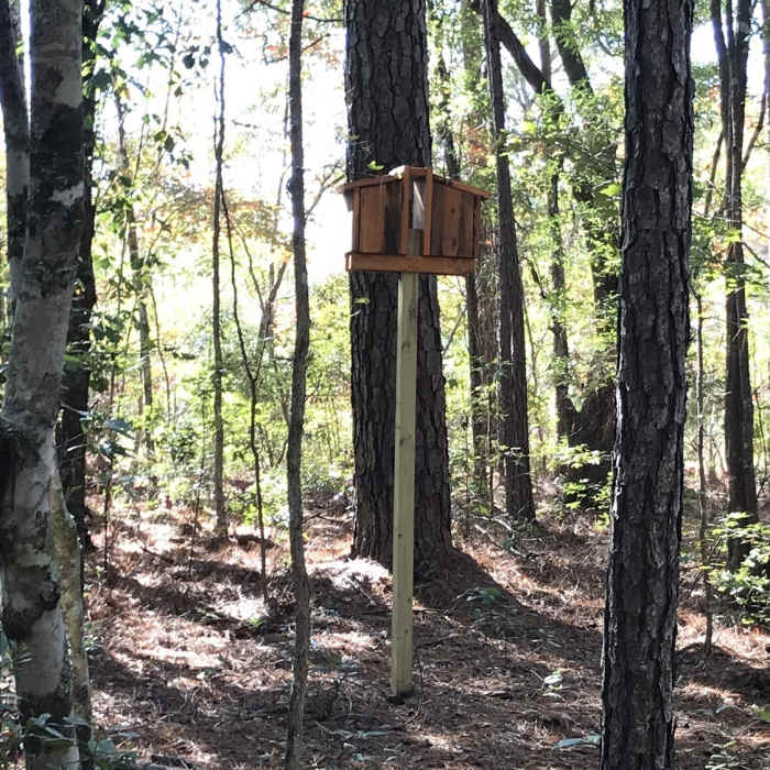 Some bird houses are more hidden than this one among the trees along the trail for bats, wood ducks among other winged animals. Near Old Loop Trail