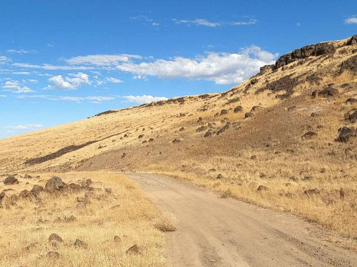 Bogus Bench Trail photo 3