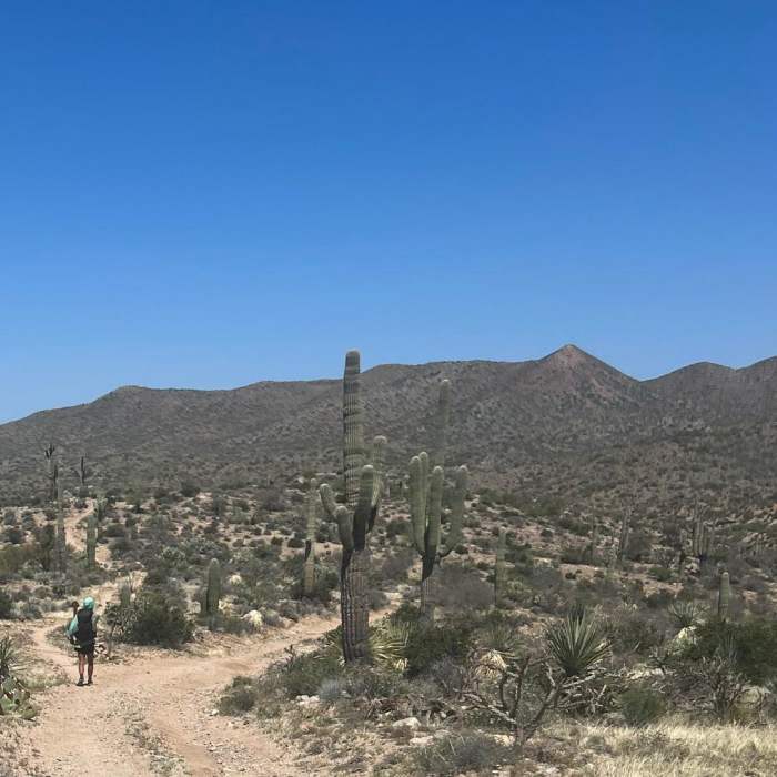 Near Ripsey Wash Loop