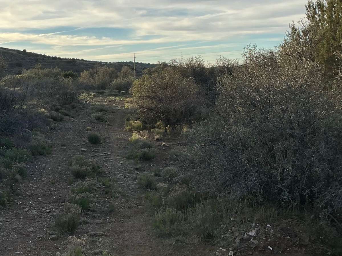 Porque Tank Trail photo 5