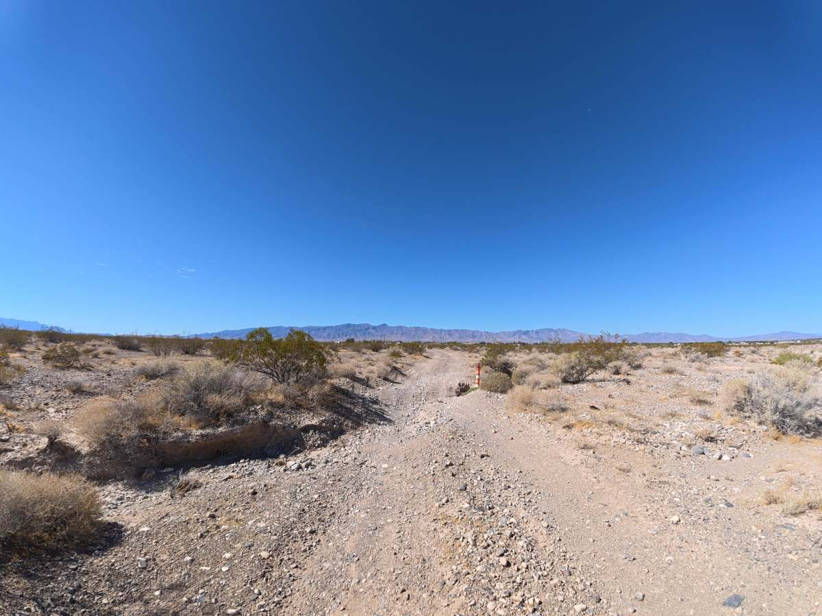 Indian West photo 3