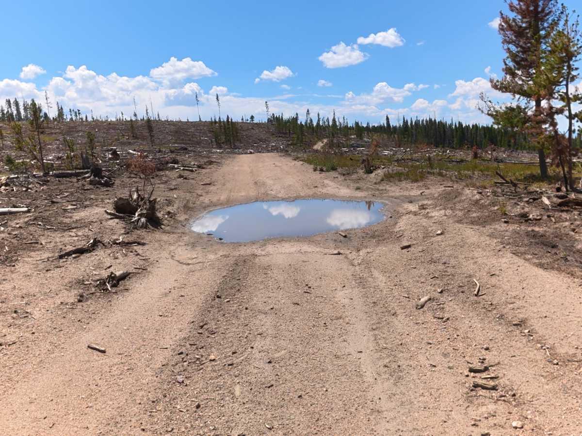 Government Creek Road photo 3
